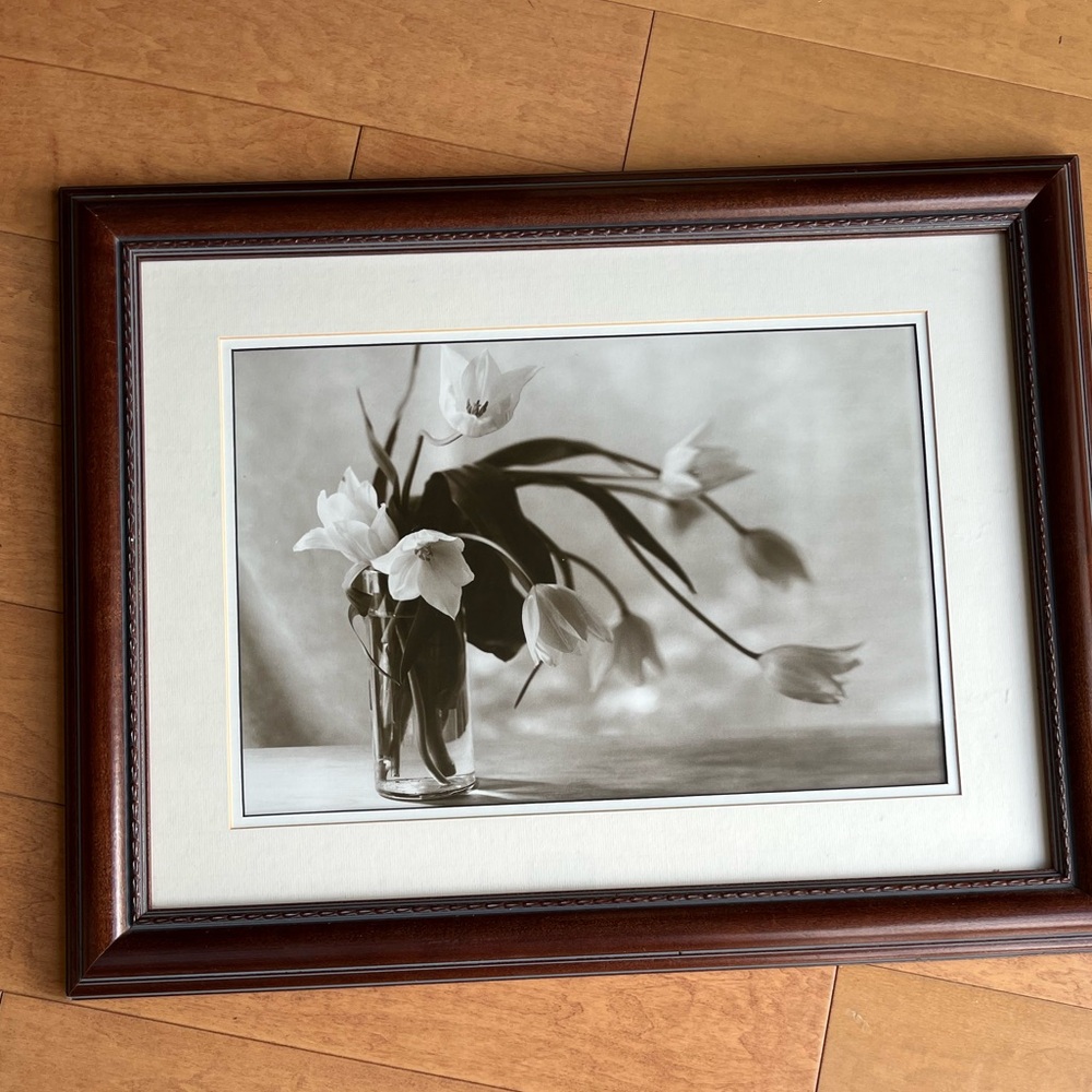 Framed Black and White tulips picture from Restoration Hardware